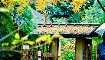 可持續(xù)發(fā)展